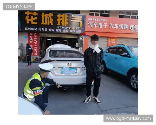 多地警方联合行动打击非法pg电子网站入口，维护网络游戏市场健康发展